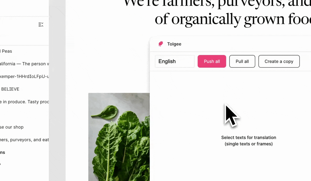 Updating A Copy Video Guide